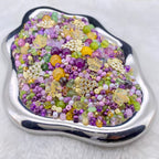 【Letter S】【Collector’s Edition】Amethyst Vineyard - Jun.6 S Mix