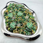 【Letter F】【Collector’s Edition】Lucky Meadow - Apr.9 F Mix