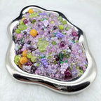 【Letter Q】【Collector’s Edition】Grape Vine - Jan.31 Q Mix